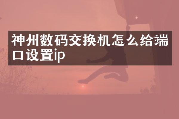 神州数码交换机怎么给端口设置ip