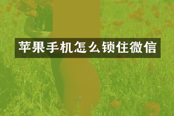 苹果手机怎么锁住微信