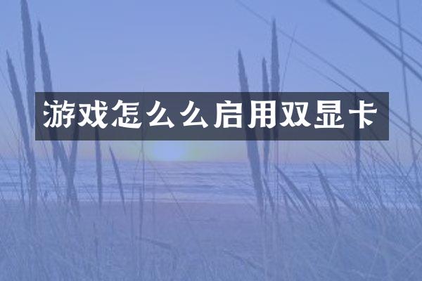 游戏怎么么启用双显卡