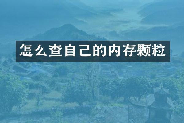 怎么查自己的内存颗粒