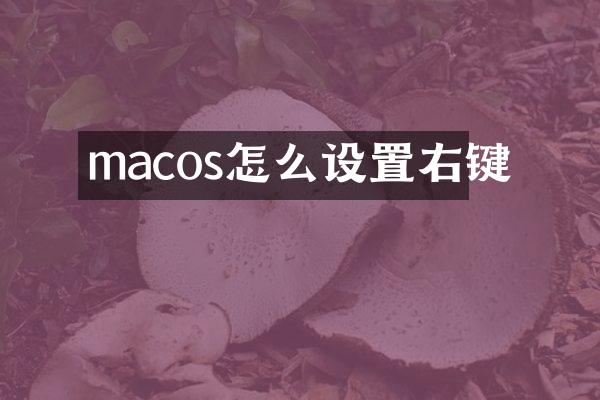 macos怎么设置右键