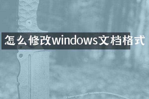 怎么修改windows文档格式