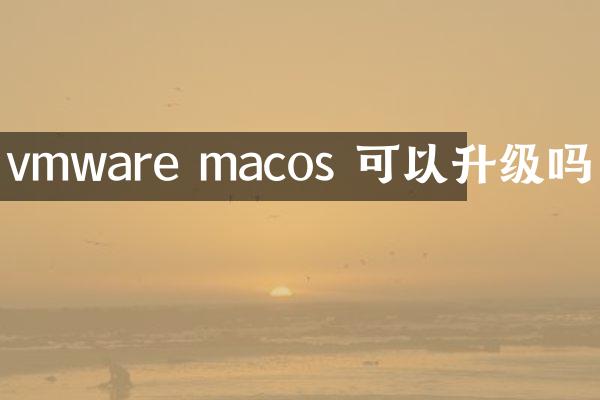 vmware macos 可以升级吗