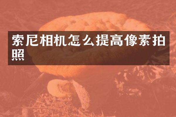 相机怎么提高像素拍照