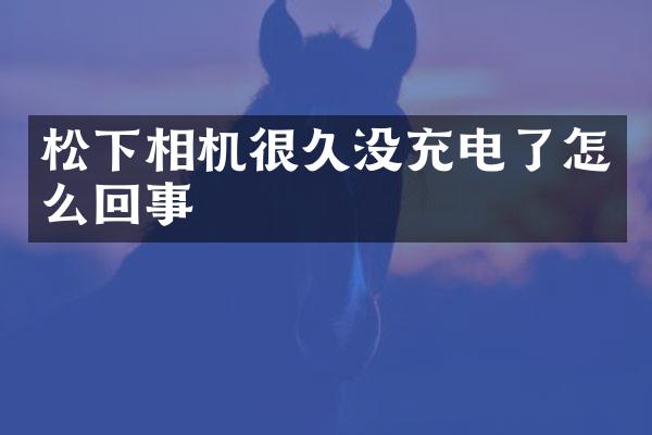 相机很久没充电了怎么回事