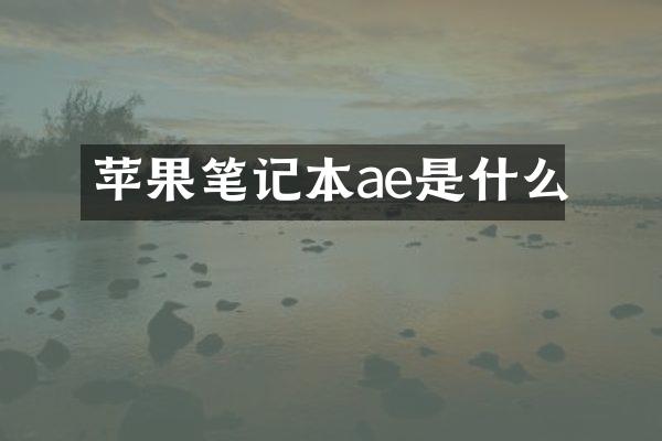 苹果笔记本ae是什么