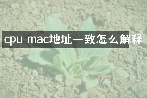 cpu mac地址一致怎么解释