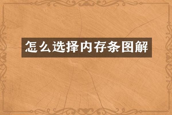 怎么选择内存条图解