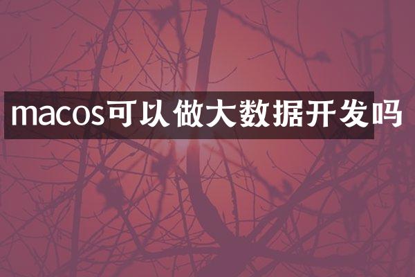 macos可以做大数据开发吗