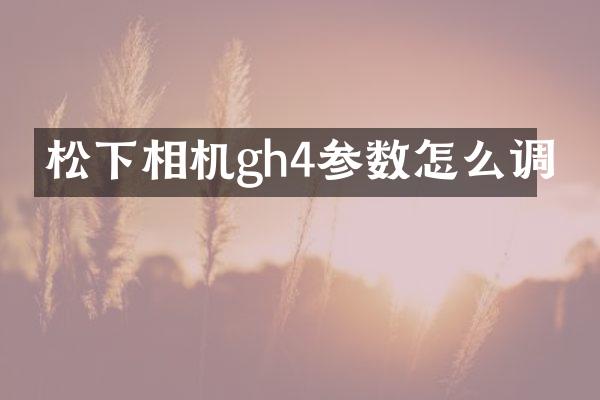 相机gh4参数怎么调