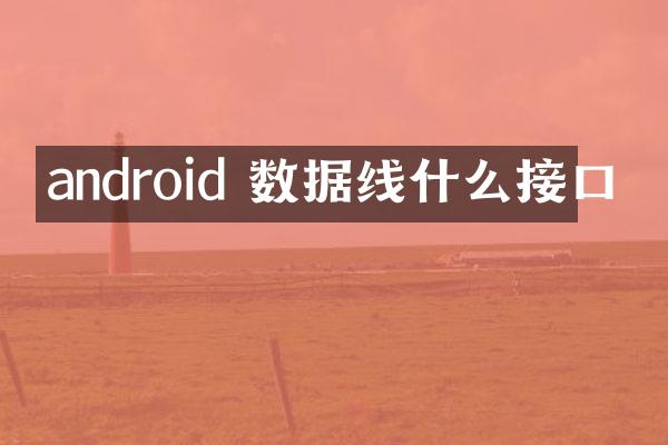 android 数据线什么接口