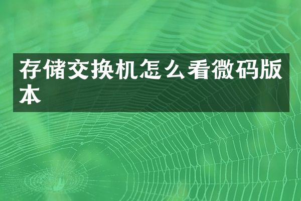 存储交换机怎么看微码版本