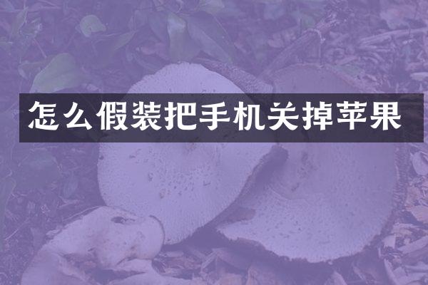 怎么假装把手机关掉苹果