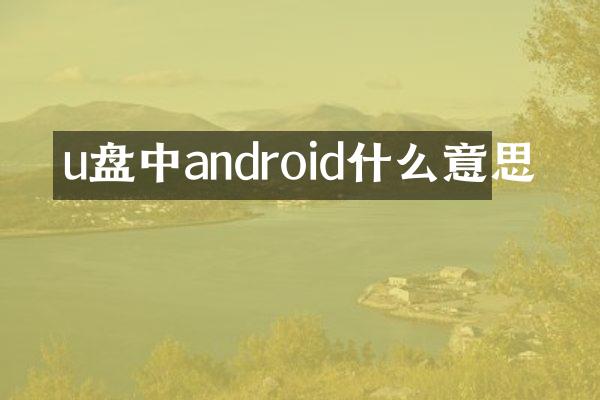 u盘中android什么意思