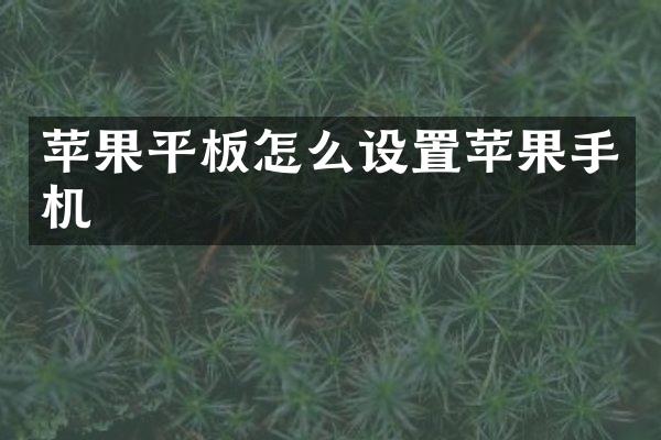 苹果平板怎么设置苹果手机