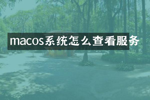 macos系统怎么查看服务