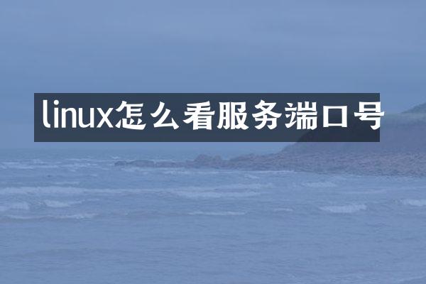 linux怎么看服务端口号
