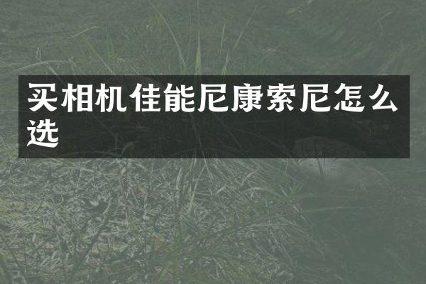 买相机佳能尼康怎么选