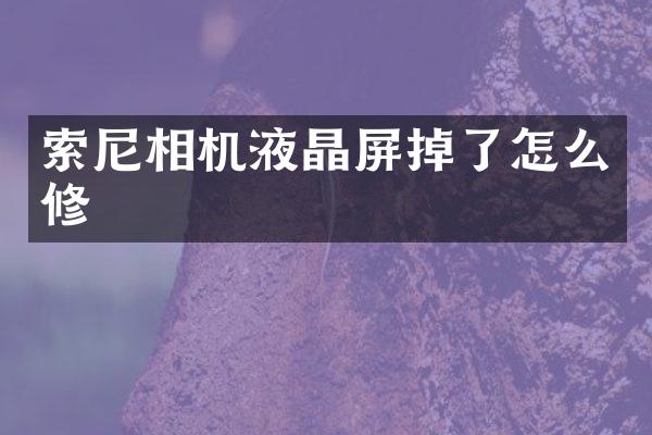 相机液晶屏掉了怎么修