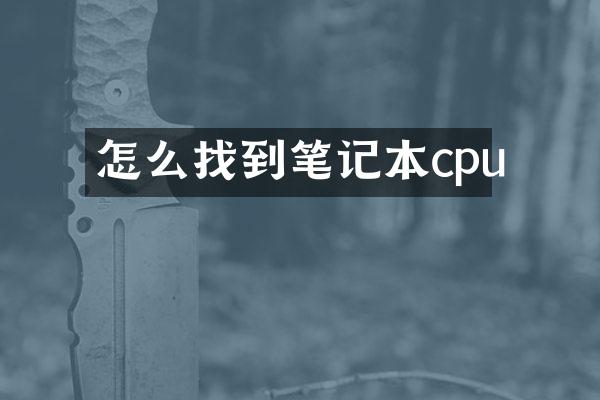 怎么找到笔记本cpu