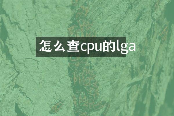怎么查cpu的lga
