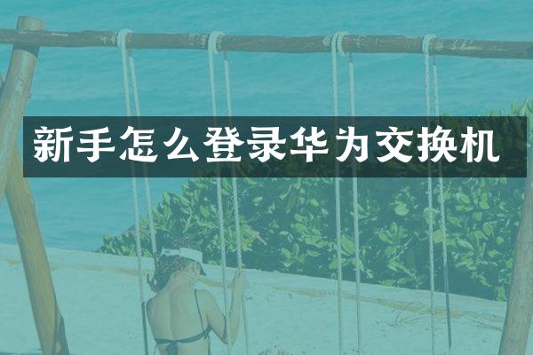 新手怎么登录华为交换机