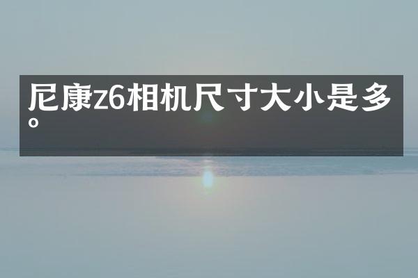 尼康z6相机尺寸大小是多少