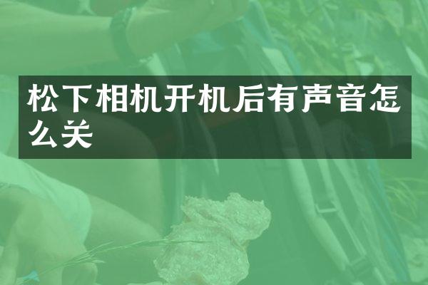 相机开机后有声音怎么关