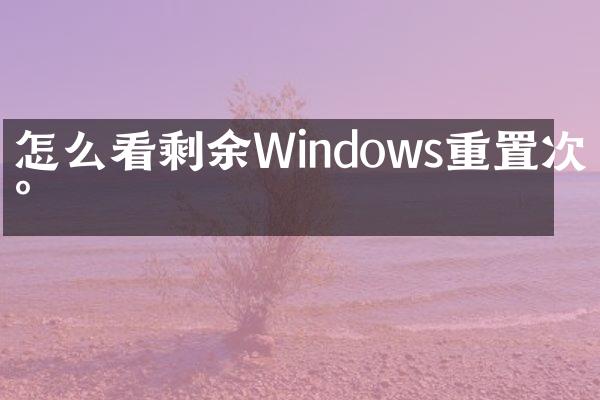 怎么看剩余Windows重置次数