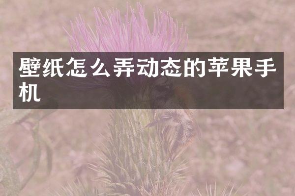壁纸怎么弄动态的苹果手机