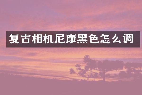 复古相机尼康黑色怎么调