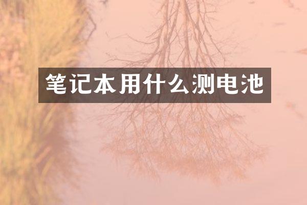 笔记本用什么测电池