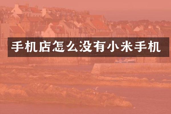 手机店怎么没有小米手机