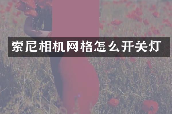 相机网格怎么开关灯