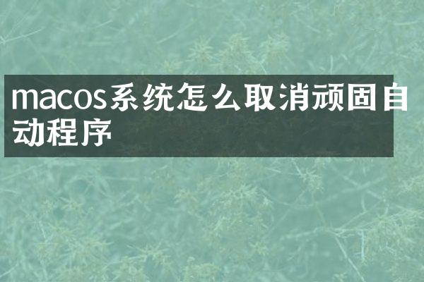 macos系统怎么取消顽固自启动程序