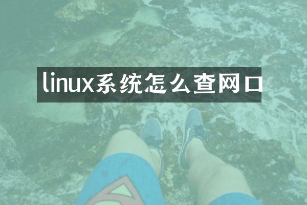 linux系统怎么查网口