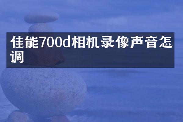 佳能700d相机录像声音怎么调