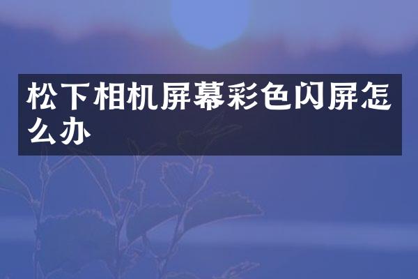 相机屏幕彩色闪屏怎么办