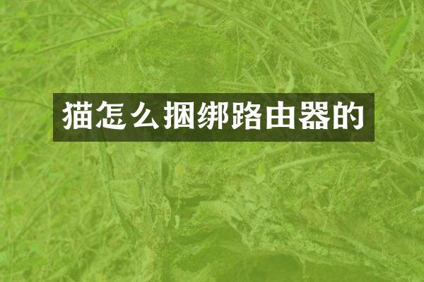 猫怎么捆绑路由器的