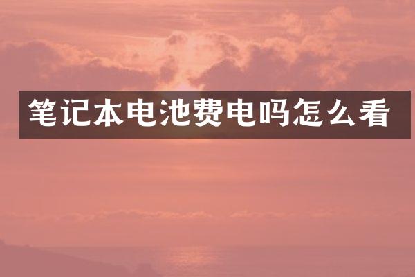 笔记本电池费电吗怎么看