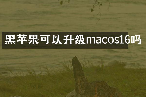 黑苹果可以升级macos16吗