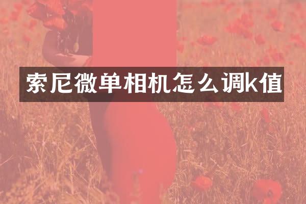 微单相机怎么调k值