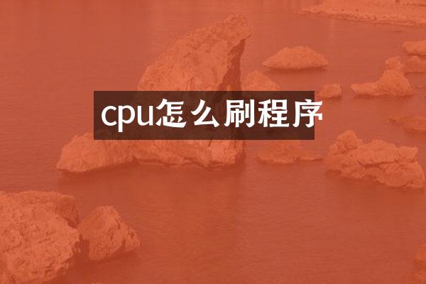 cpu怎么刷程序