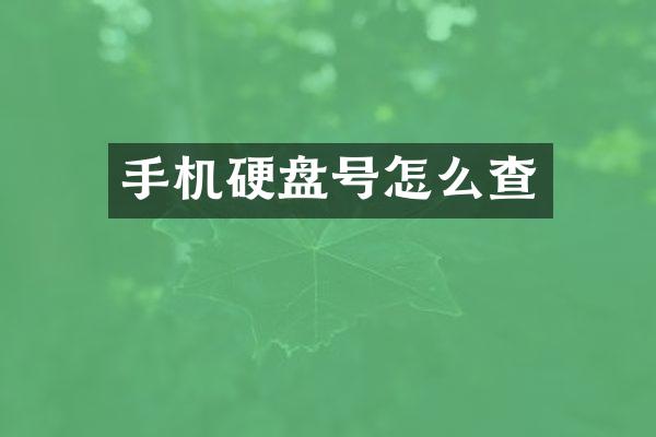 手机硬盘号怎么查