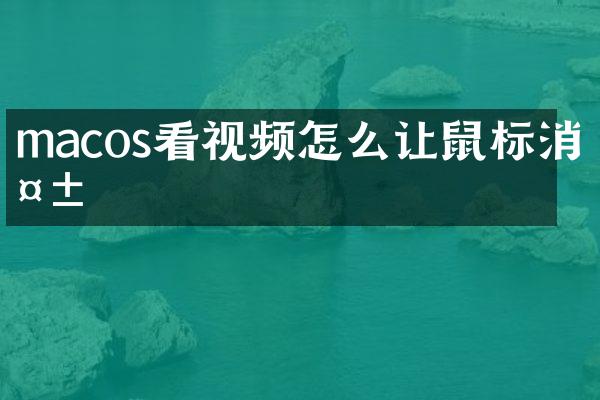 macos看视频怎么让鼠标消失
