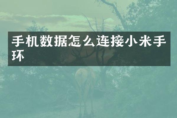 手机数据怎么连接小米手环