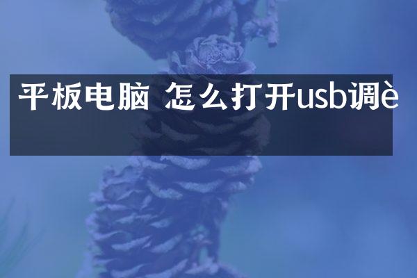 平板电脑 怎么打开usb调试