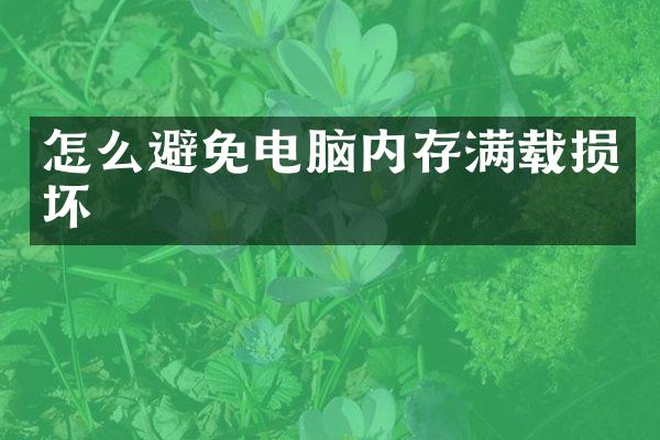 怎么避免电脑内存满载损坏