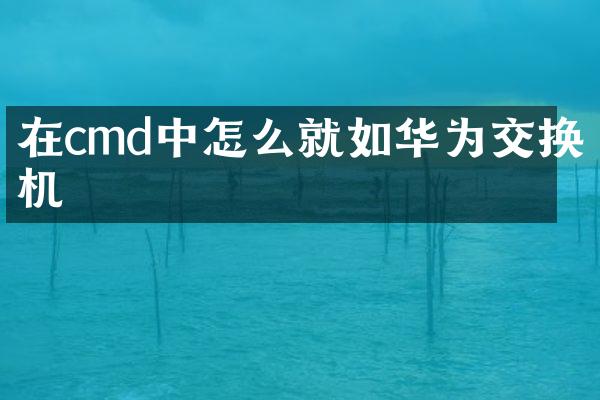 在cmd中怎么就如华为交换机