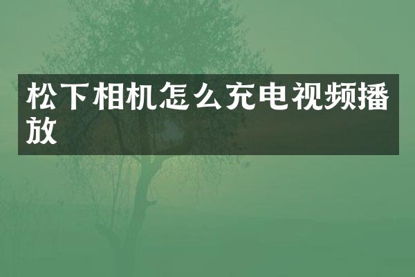 相机怎么充电视频播放